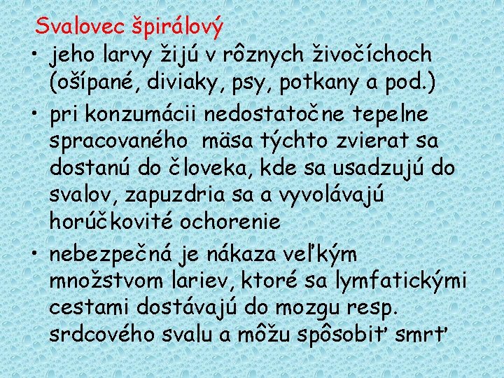 Svalovec špirálový • jeho larvy žijú v rôznych živočíchoch (ošípané, diviaky, psy, potkany a