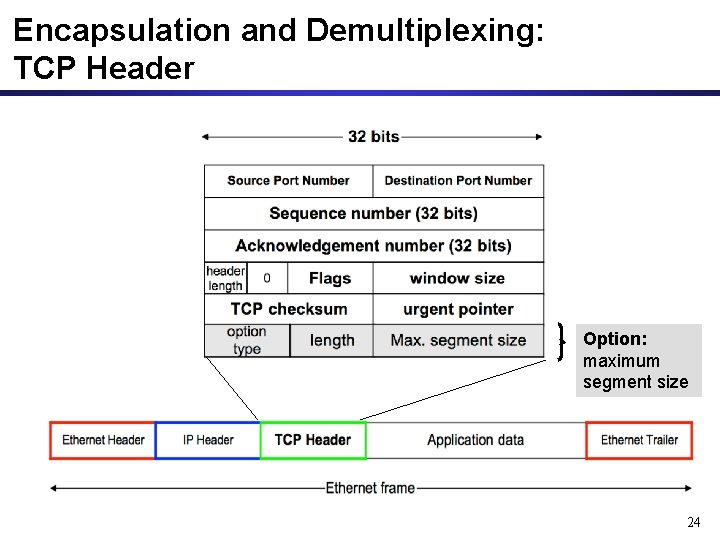 Encapsulation and Demultiplexing: TCP Header Option: maximum segment size 24 Encapsulation and Demultiplexing: TCP Header Option: maximum segment size 24