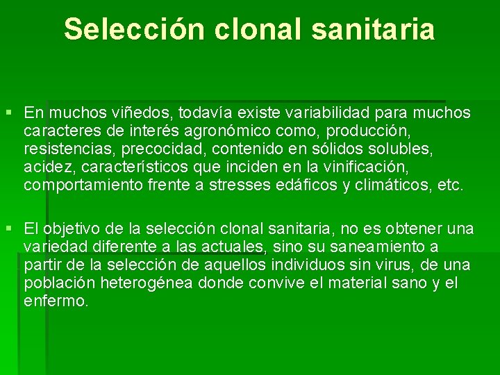 Selección clonal sanitaria § En muchos viñedos, todavía existe variabilidad para muchos caracteres de Selección clonal sanitaria § En muchos viñedos, todavía existe variabilidad para muchos caracteres de