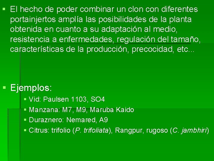 § El hecho de poder combinar un clon con diferentes portainjertos amplía las posibilidades § El hecho de poder combinar un clon con diferentes portainjertos amplía las posibilidades