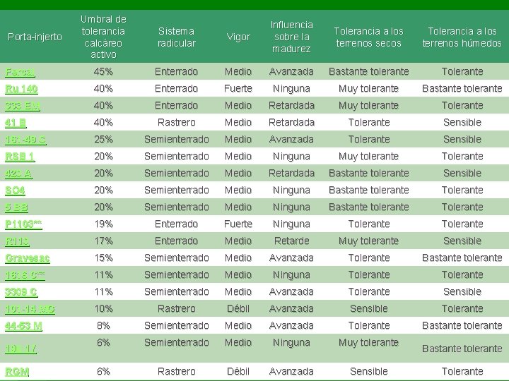 Umbral de tolerancia calcáreo activo Sistema radicular Fercal 45% Ru 140 Vigor Influencia sobre Umbral de tolerancia calcáreo activo Sistema radicular Fercal 45% Ru 140 Vigor Influencia sobre