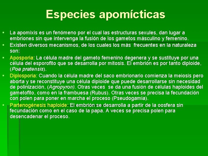 Especies apomícticas § La apomixis es un fenómeno por el cual las estructuras sexules, Especies apomícticas § La apomixis es un fenómeno por el cual las estructuras sexules,