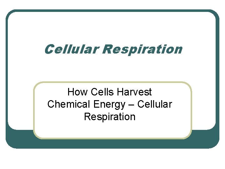 Cellular Respiration How Cells Harvest Chemical Energy – Cellular Respiration 