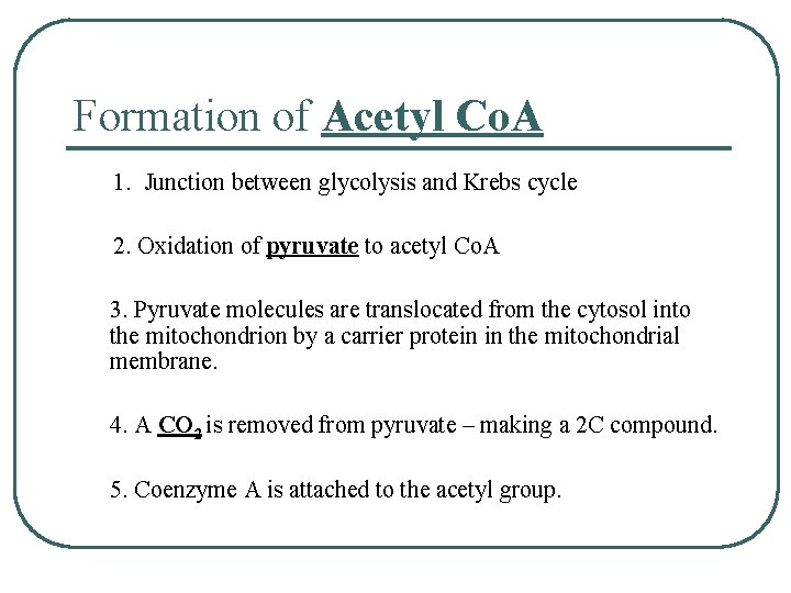 Formation of Acetyl Co. A 1. Junction between glycolysis and Krebs cycle 2. Oxidation