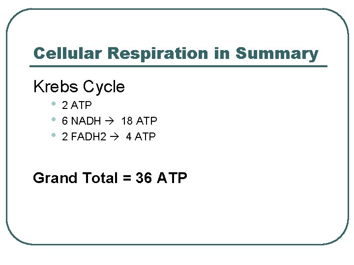 Cellular Respiration in Summary Krebs Cycle • 2 ATP • 6 NADH 18 ATP