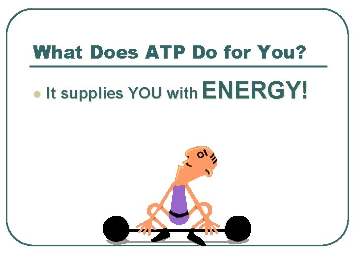 What Does ATP Do for You? l It supplies YOU with ENERGY! 