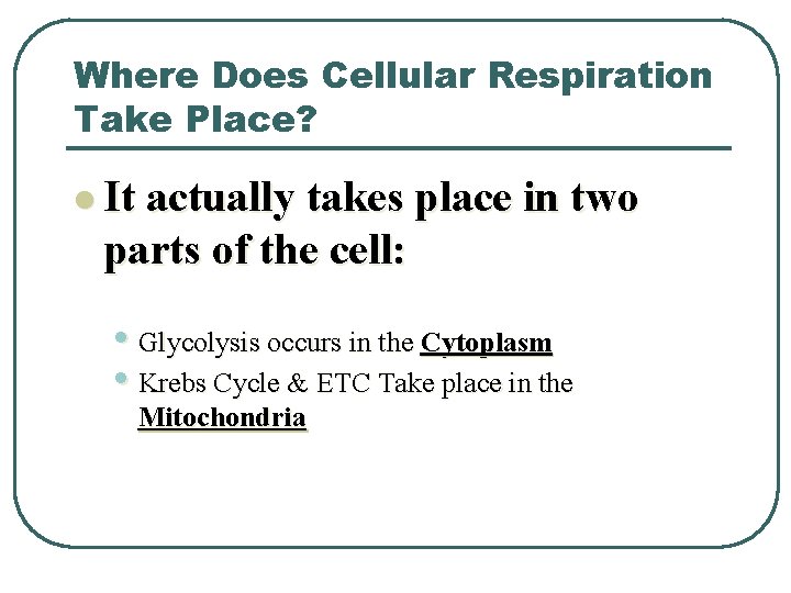 Where Does Cellular Respiration Take Place? l It actually takes place in two parts