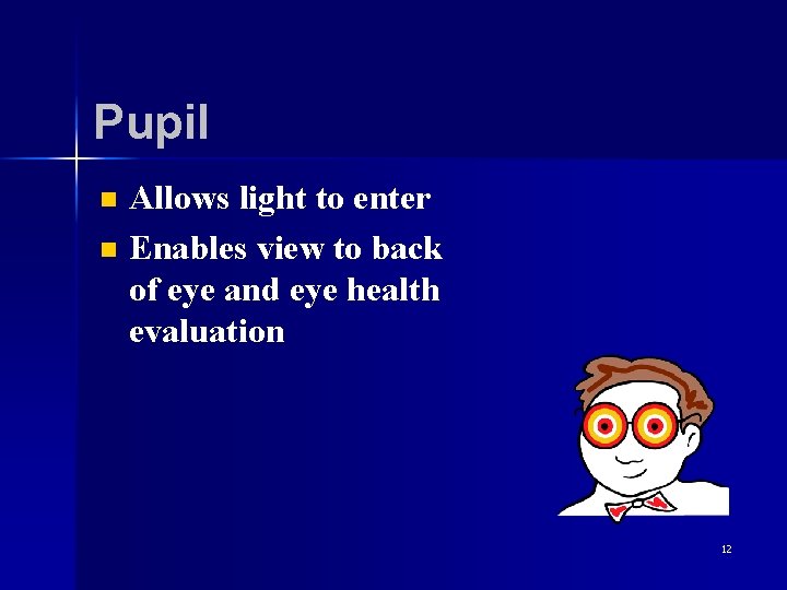 Pupil n n Allows light to enter Enables view to back of eye and