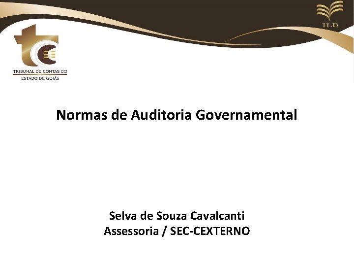 Normas de Auditoria Governamental Selva de Souza Cavalcanti Assessoria / SEC-CEXTERNO 