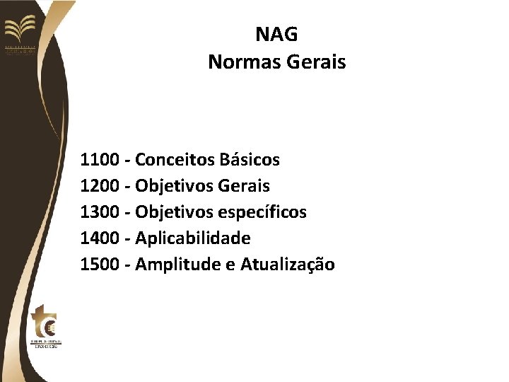 NAG Normas Gerais 1100 - Conceitos Básicos 1200 - Objetivos Gerais 1300 - Objetivos
