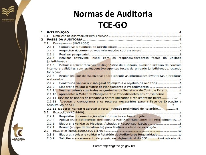 Normas de Auditoria TCE-GO Fonte: http: //sgf. tce. gov. br/ 