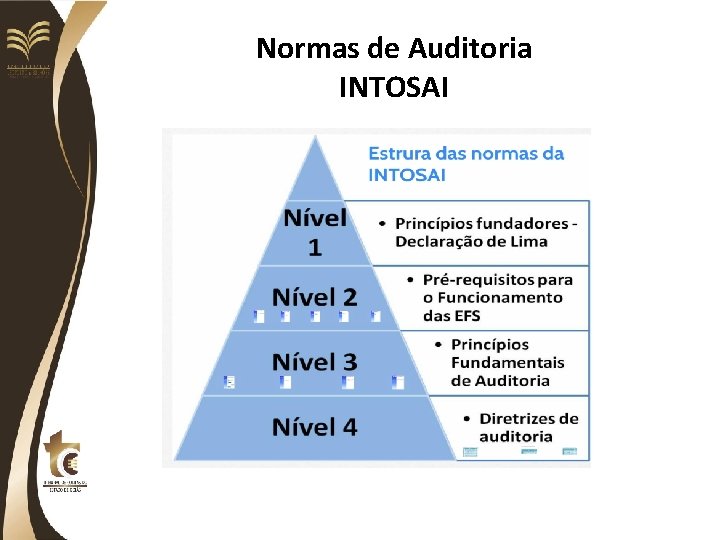 Normas de Auditoria INTOSAI 