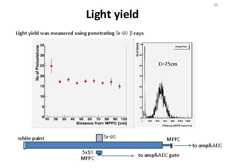 35 Light yield was measured using penetrating Sr-90 b-rays D=75 cm Sr-90 white paint
