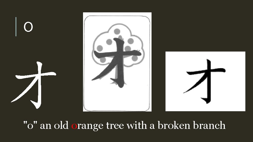 O オ "o" an old orange tree with a broken branch 
