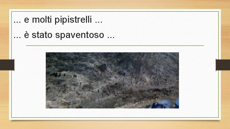 . . . e molti pipistrelli. . . è stato spaventoso. . . 