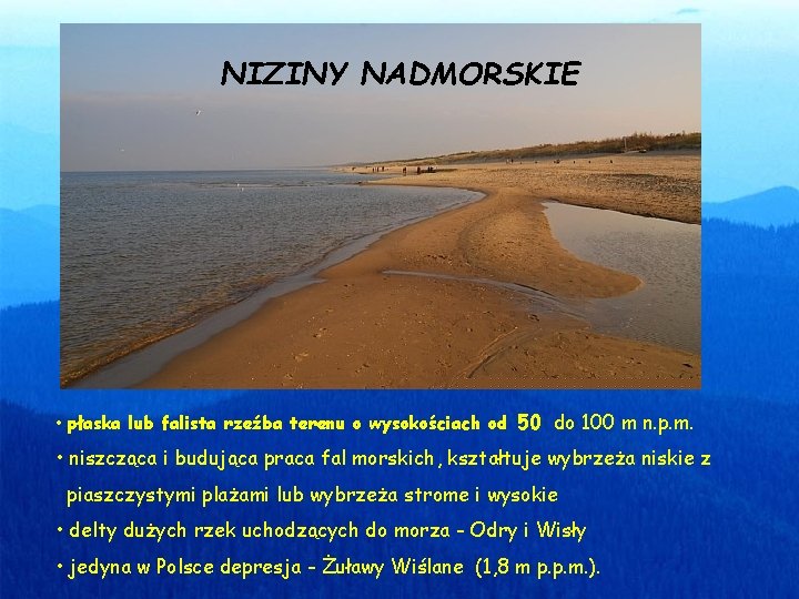 NIZINY NADMORSKIE • płaska lub falista rzeźba terenu o wysokościach od 50 do 100