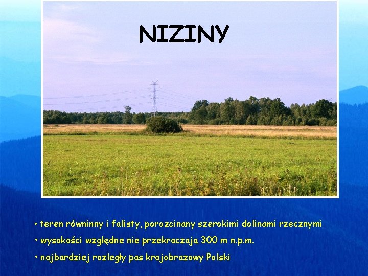 NIZINY • teren równinny i falisty, porozcinany szerokimi dolinami rzecznymi • wysokości względne nie