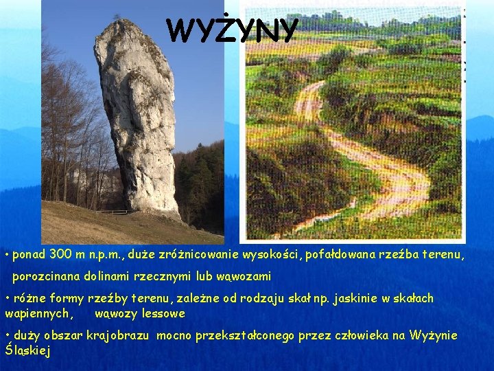 WYŻYNY • ponad 300 m n. p. m. , duże zróżnicowanie wysokości, pofałdowana rzeźba