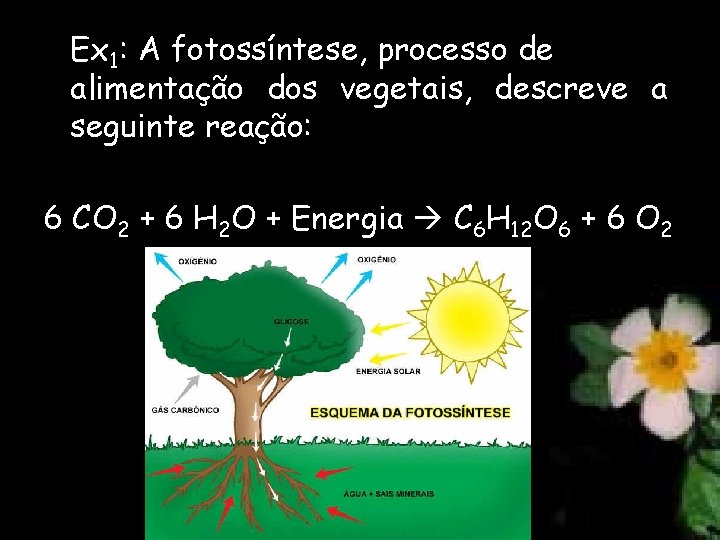 Ex 1: A fotossíntese, processo de alimentação dos vegetais, descreve a seguinte reação: 6