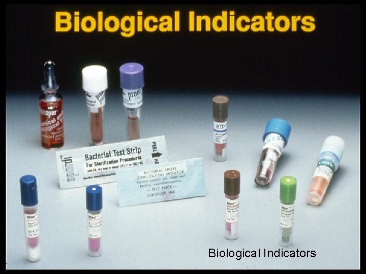 Biological Indicators 