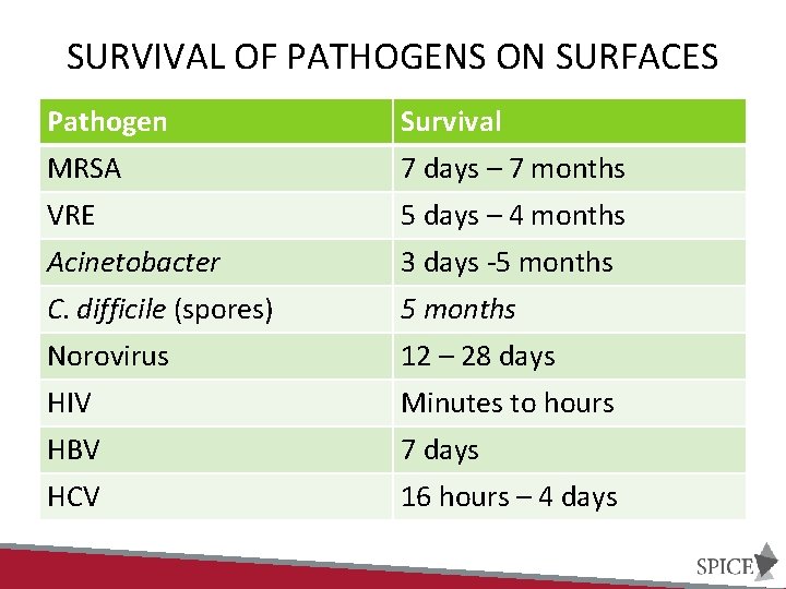 SURVIVAL OF PATHOGENS ON SURFACES Pathogen Survival MRSA 7 days – 7 months VRE