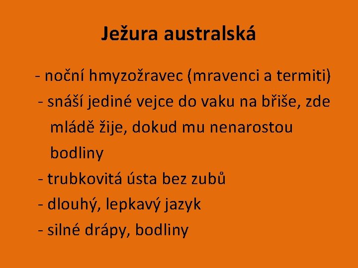 Ježura australská - noční hmyzožravec (mravenci a termiti) - snáší jediné vejce do vaku