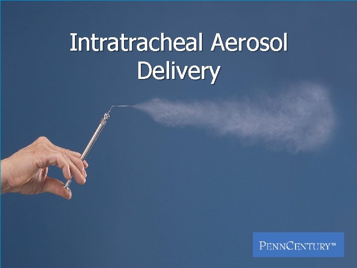 Intratracheal Aerosol Delivery 