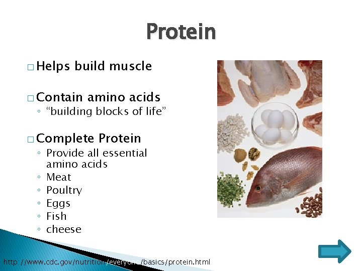 Protein � Helps build muscle � Contain amino acids ◦ “building blocks of life”