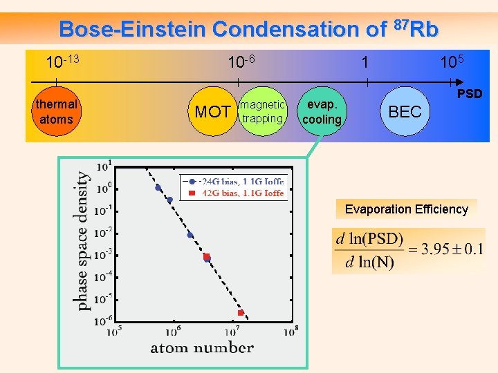 Bose-Einstein Condensation of 87 Rb 10 -13 thermal atoms 10 -6 MOT magnetic trapping