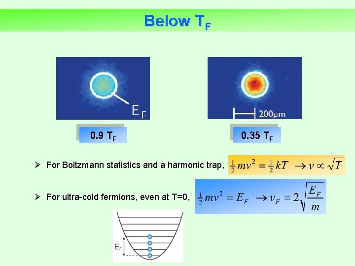 Below TF 0. 9 TF Ø For Boltzmann statistics and a harmonic trap, Ø