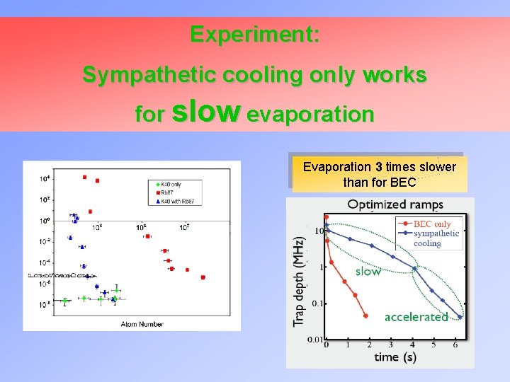 Experiment: Sympathetic cooling only works for slow evaporation Evaporation 3 times slower than for