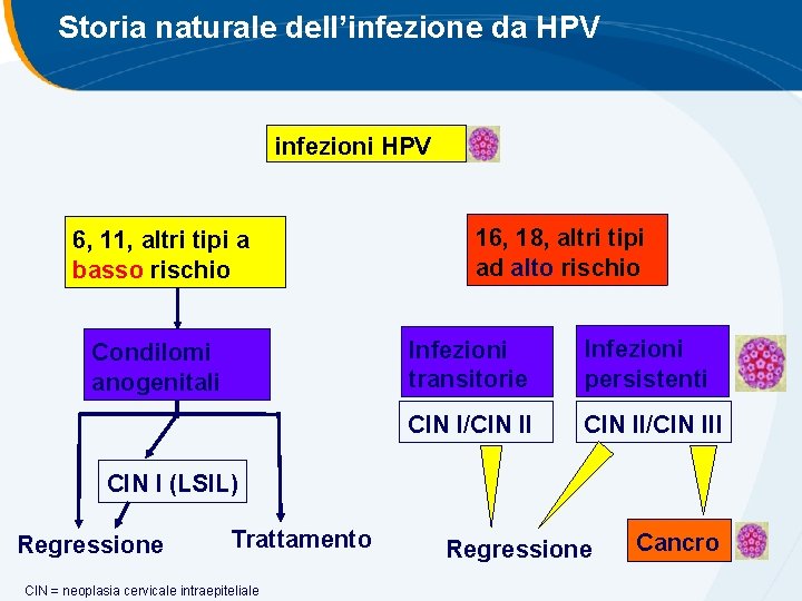 Storia naturale dell’infezione da HPV infezioni HPV 6, 11, altri tipi a basso rischio Storia naturale dell’infezione da HPV infezioni HPV 6, 11, altri tipi a basso rischio