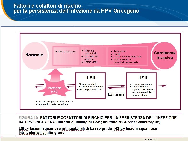 Fattori e cofattori di rischio per la persistenza dell’infezione da HPV Oncogeno Fattori e cofattori di rischio per la persistenza dell’infezione da HPV Oncogeno