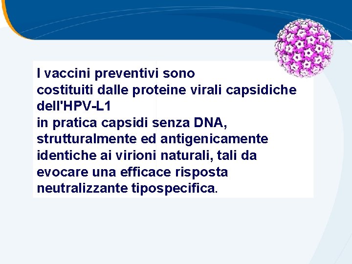 I vaccini preventivi sono costituiti dalle proteine virali capsidiche dell'HPV-L 1 in pratica capsidi I vaccini preventivi sono costituiti dalle proteine virali capsidiche dell'HPV-L 1 in pratica capsidi