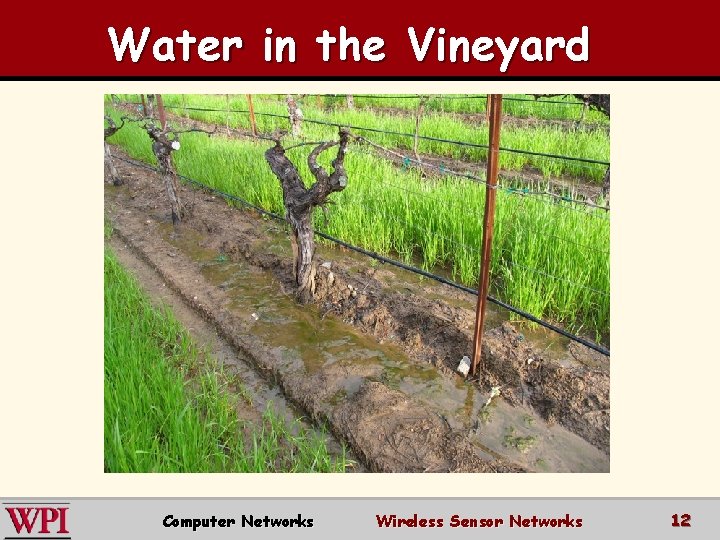 Water in the Vineyard Computer Networks Wireless Sensor Networks 12 