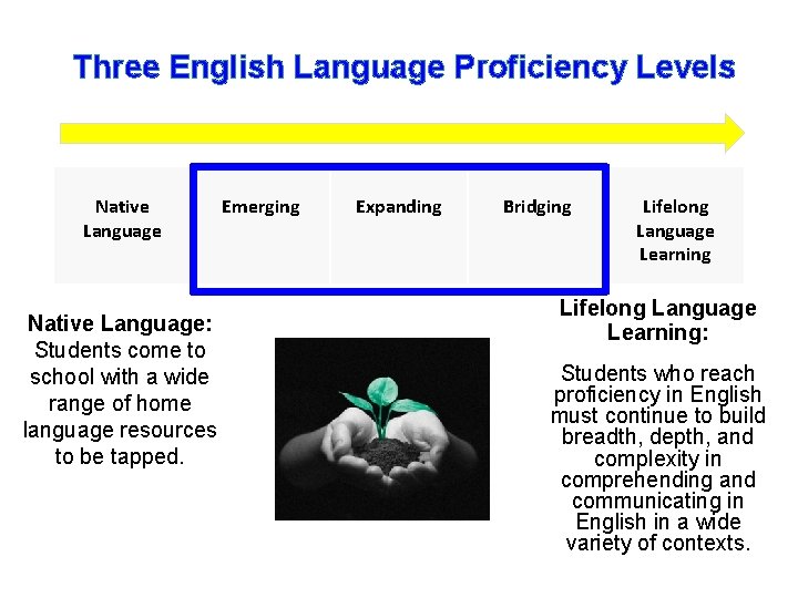 Three English Language Proficiency Levels Native Language: Students come to school with a wide