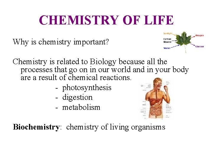 CHEMISTRY OF LIFE Why is chemistry important? Chemistry is related to Biology because all