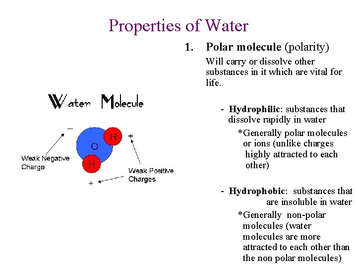 Properties of Water 1. Polar molecule (polarity) Will carry or dissolve other substances in
