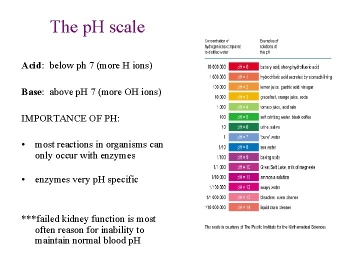 The p. H scale Acid: below ph 7 (more H ions) Base: above p.