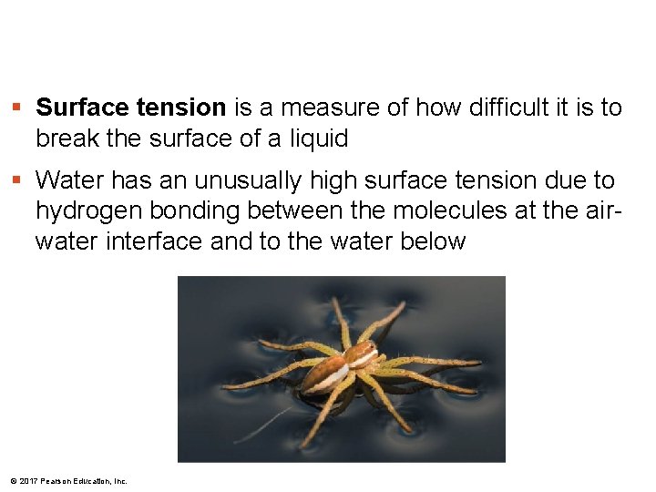 § Surface tension is a measure of how difficult it is to break the