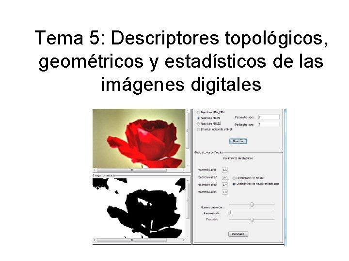 Tema 5: Descriptores topológicos, geométricos y estadísticos de las imágenes digitales Tema 5: Descriptores topológicos, geométricos y estadísticos de las imágenes digitales