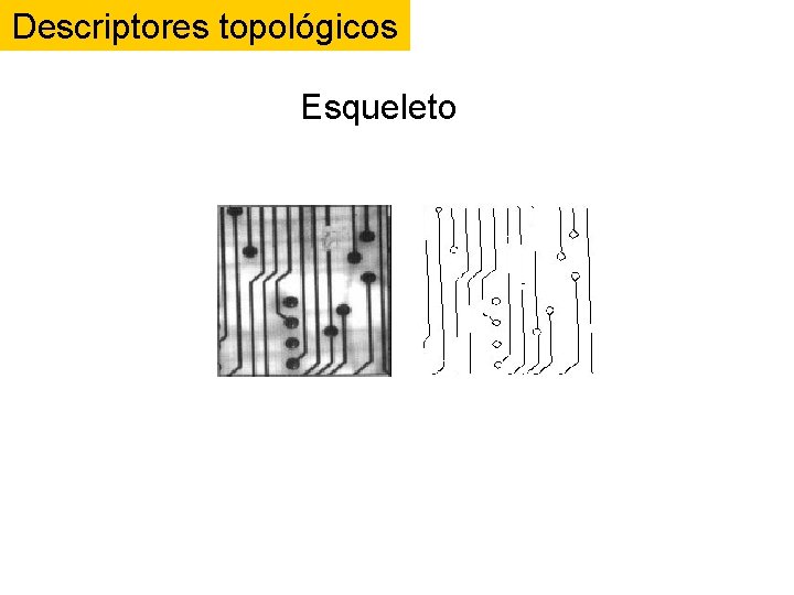 Descriptores topológicos Esqueleto Descriptores topológicos Esqueleto