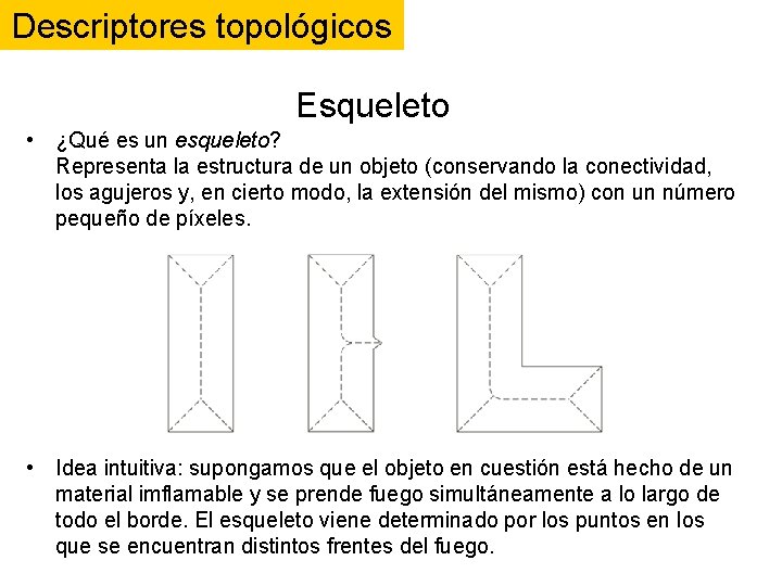 Descriptores topológicos Esqueleto • ¿Qué es un esqueleto? Representa la estructura de un objeto Descriptores topológicos Esqueleto • ¿Qué es un esqueleto? Representa la estructura de un objeto