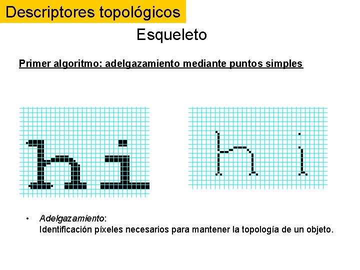 Descriptores topológicos Esqueleto Primer algoritmo: adelgazamiento mediante puntos simples • Adelgazamiento: Identificación píxeles necesarios Descriptores topológicos Esqueleto Primer algoritmo: adelgazamiento mediante puntos simples • Adelgazamiento: Identificación píxeles necesarios