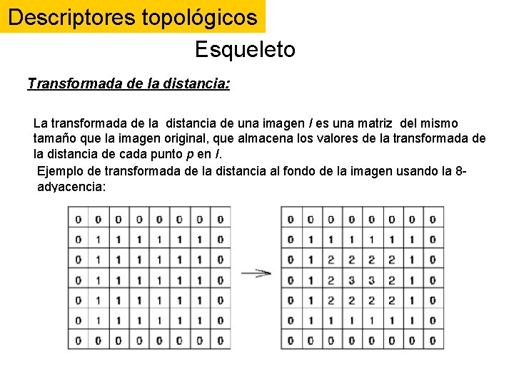 Descriptores topológicos Esqueleto Transformada de la distancia: La transformada de la distancia de una Descriptores topológicos Esqueleto Transformada de la distancia: La transformada de la distancia de una