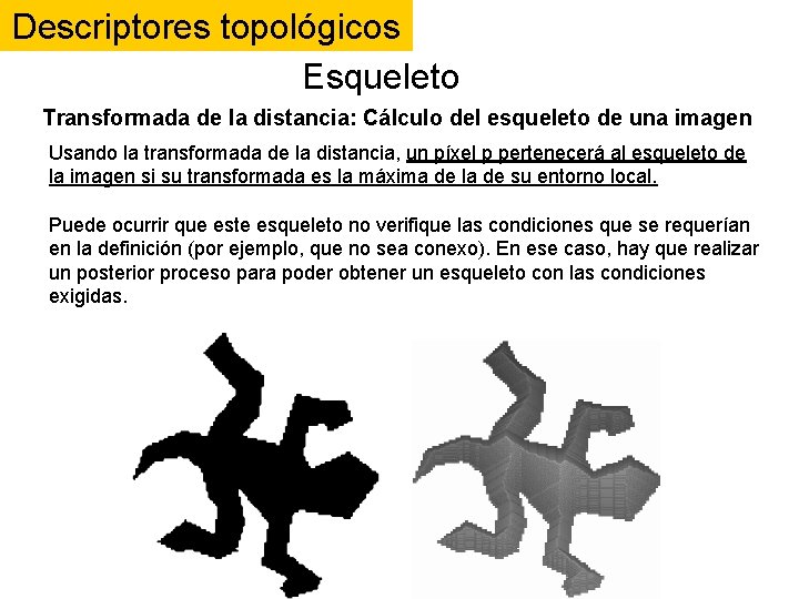 Descriptores topológicos Esqueleto Transformada de la distancia: Cálculo del esqueleto de una imagen Usando Descriptores topológicos Esqueleto Transformada de la distancia: Cálculo del esqueleto de una imagen Usando