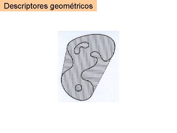 Descriptores geométricos Descriptores geométricos