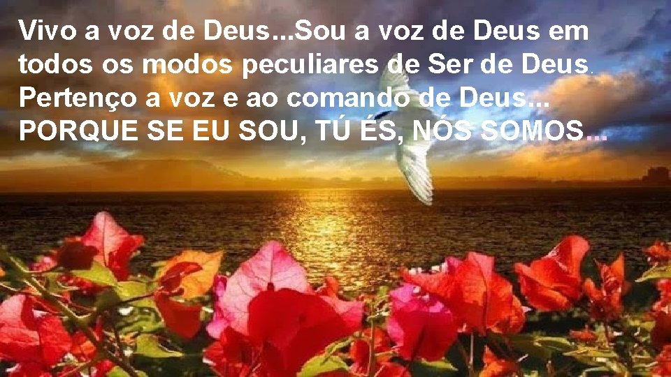 Vivo a voz de Deus. . . Sou a voz de Deus em todos