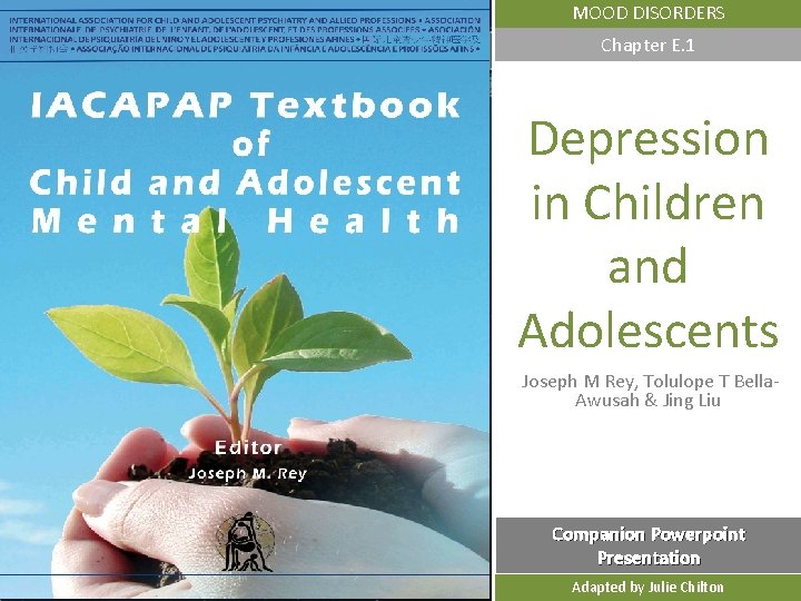 MOOD DISORDERS Chapter E. 1 Depression in Children and Adolescents Joseph M Rey, Tolulope