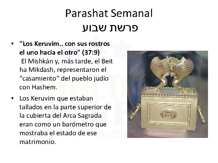 Parashat Semanal שבוע פרשת • "Los Keruvim. . con sus rostros el uno hacia